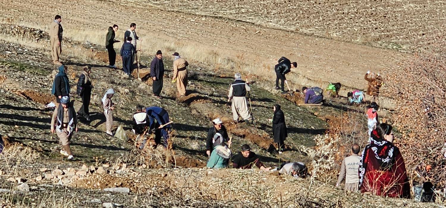 خلق حماسه سبز در سقز؛ کاشت نهال در حمایت از زاگرس خلق حماسه سبز در سقز؛ کاشت نهال در حمایت از زاگرس