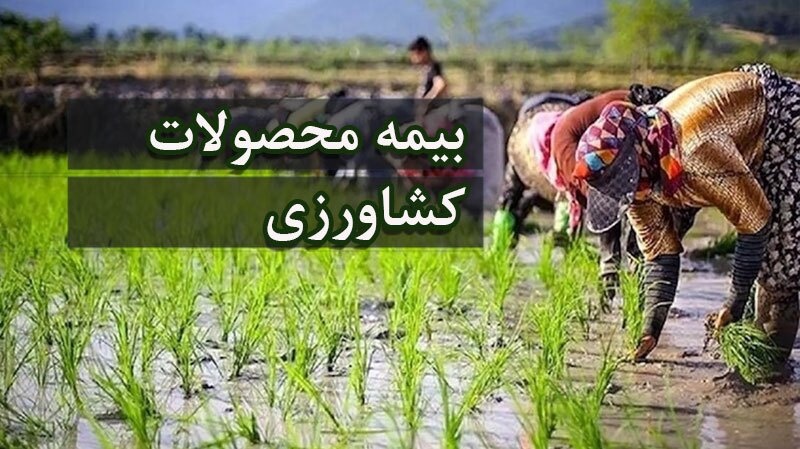 بیمه محصولات کشاورزی؛ همراه کشاورزان و از ارکان امنیت غذایی پایدار بیمه محصولات کشاورزی؛ همراه کشاورزان و از ارکان امنیت غذایی پایدار