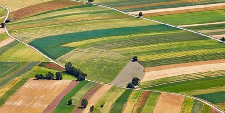 رفع تصرف بیش از ۶۸ هزار مترمربع از اراضی ملی خوزستان رفع تصرف بیش از ۶۸ هزار مترمربع از اراضی ملی خوزستان