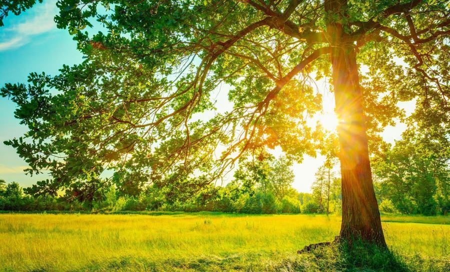 پایداری هوای گیلان در روزهای پایانی تعطیلات نوروزی پایداری هوای گیلان در روزهای پایانی تعطیلات نوروزی