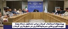 پیشنهاد تشکیل  ستاد ویژه سرمایه‌گذاری در شهرداری کرمان