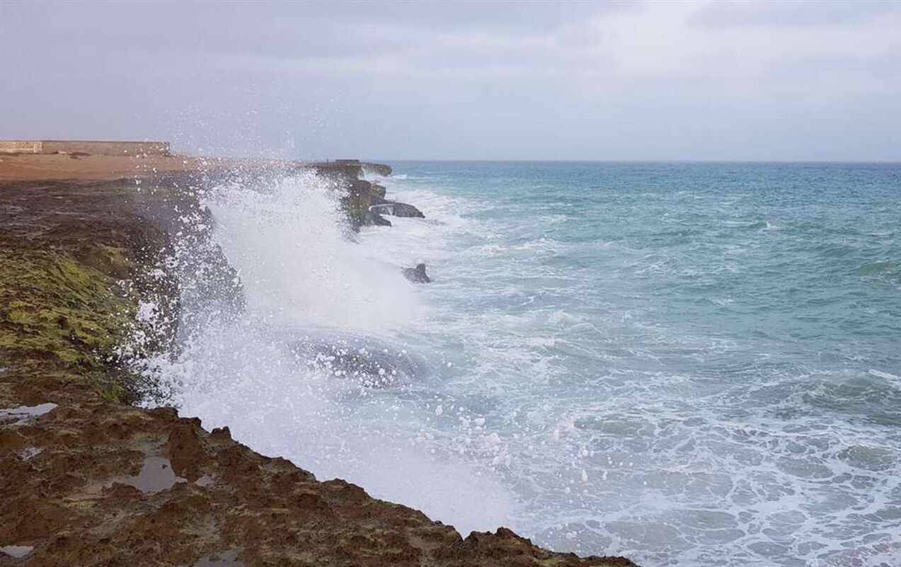 از پیش‌بینی وزش باد تا بارش پراکنده باران در بوشهر