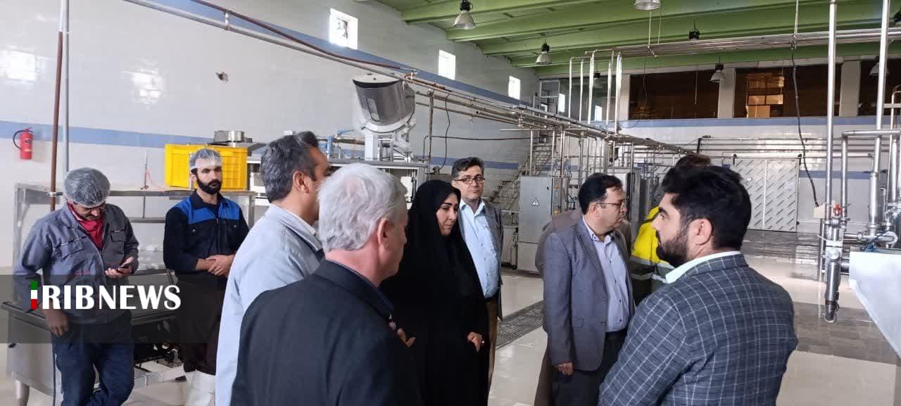 بررسی مشکلات دو واحد تولیدی در باروق