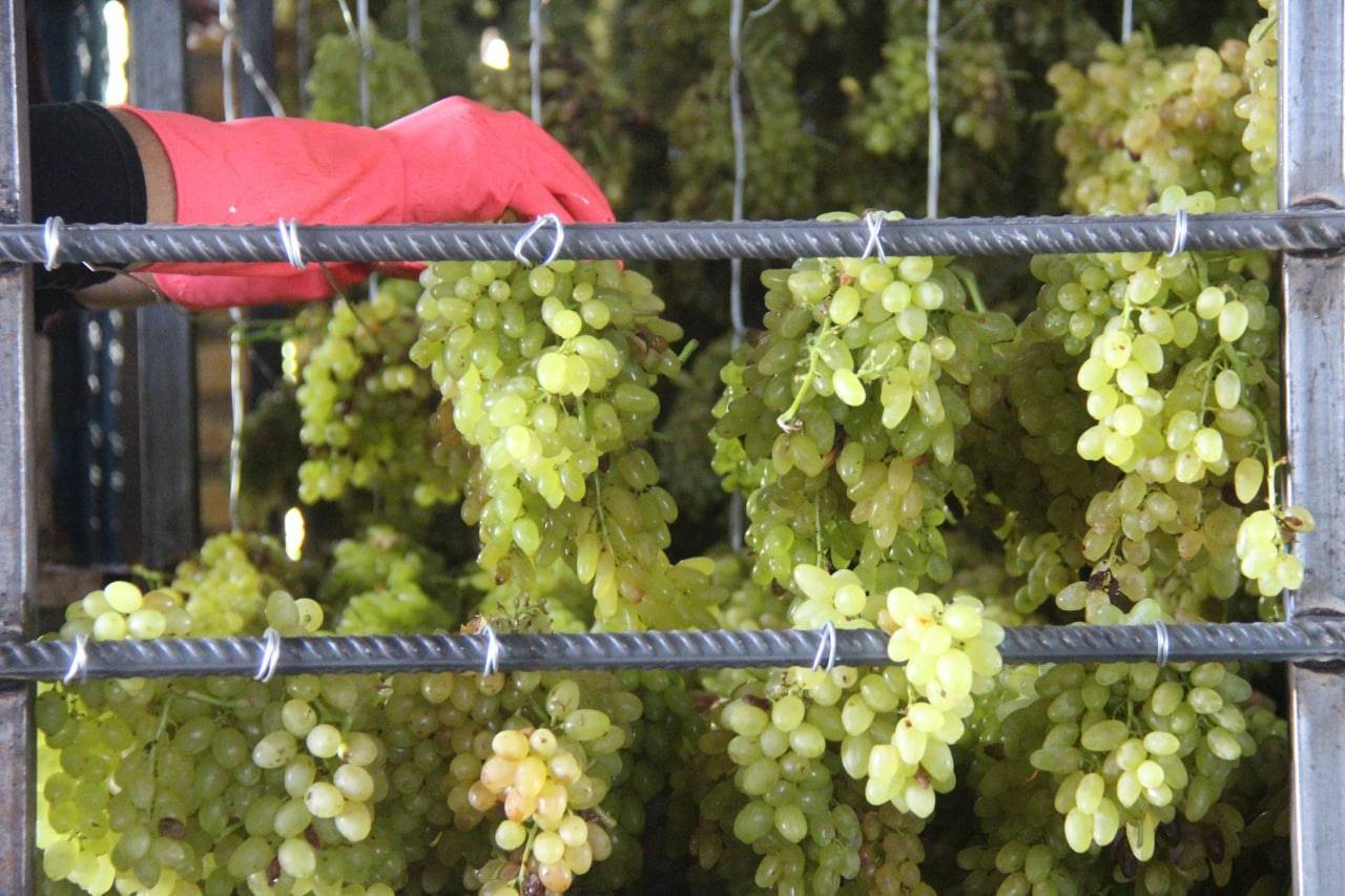 انقلاب خورشیدی در خلیل‌آباد