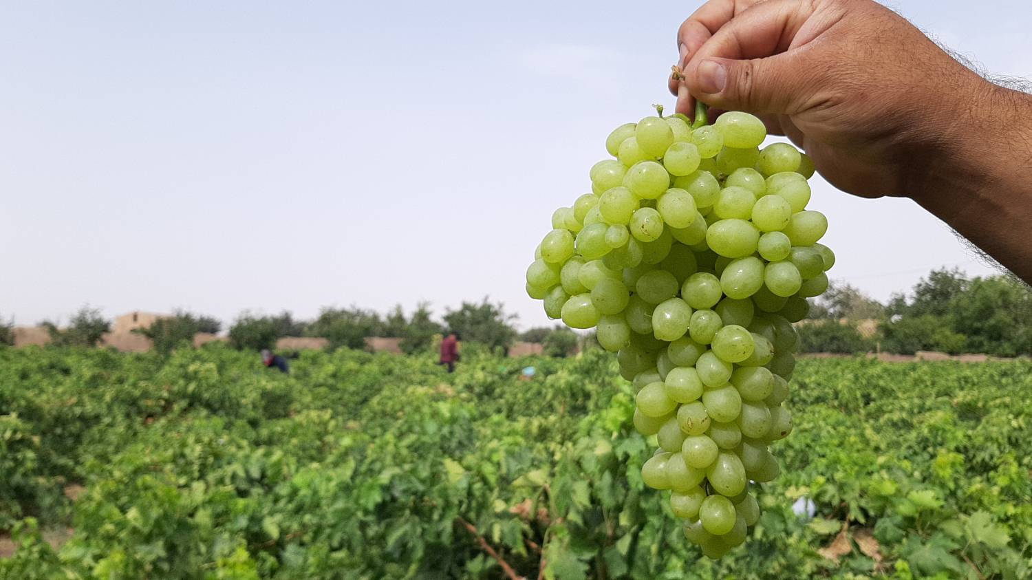 انقلاب خورشیدی در خلیل‌آباد