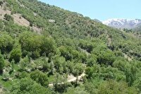 رفع تصرف زمین ملی ۳۰۴۴ مترمربعی در زرین آباد ساری