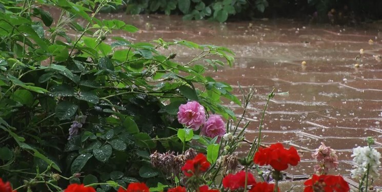 ماندگاری هوای سرد و بارانی تا پنجشنبه در مازندران ماندگاری هوای سرد و بارانی تا پنجشنبه در مازندران