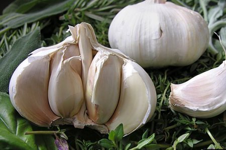 تولید محصولات کشاورزی در همدان، باید به ۶ میلیون تن برسد