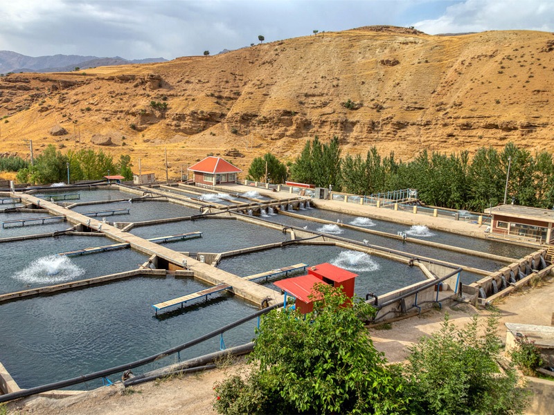 آذربایجان غربی به دنبال جذب سرمایه برای جهش تولید در صنعت شیلات