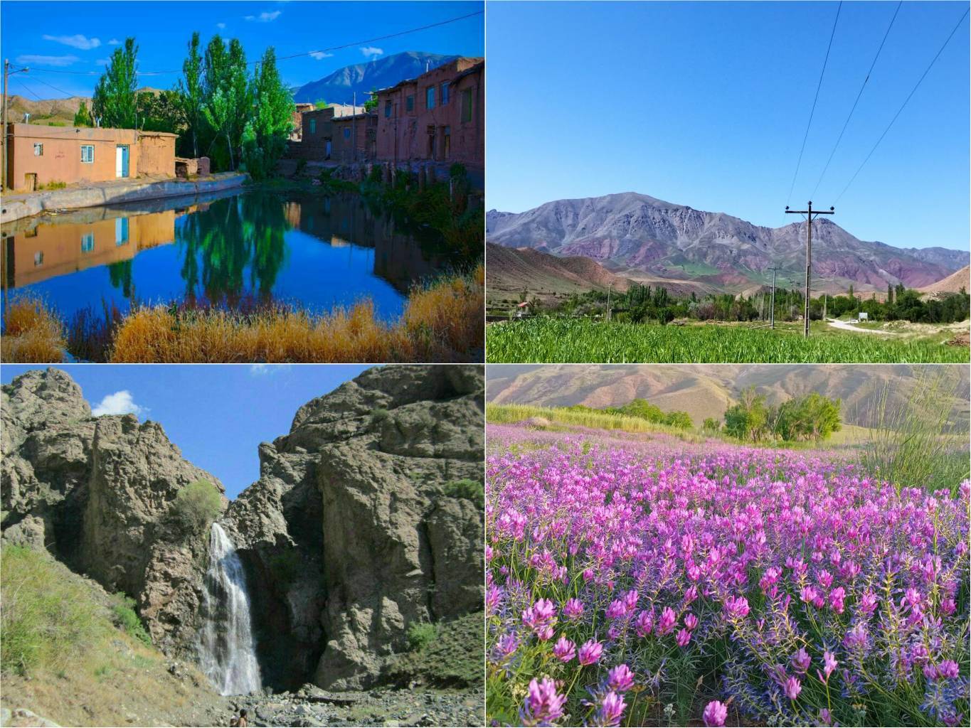 کدکن، شهر شکوفه‌های بهاری، مقصد گردشگران نوروزی