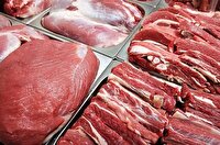 برخورد قضایی با عرضه کنندگان گوشت غیرمجاز در فضای مجازی اندیمشک