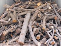 کشف بیش از ۲ تن چوب و زغال فاقد مجوز در کرمانشاه
