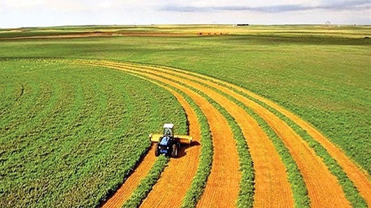 اجرای طرح پایداری تولید در دیمزارهای روستای آقگنبد جزیره اسلامی اجرای طرح پایداری تولید در دیمزارهای روستای آقگنبد جزیره اسلامی