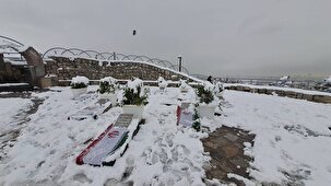 هوای سالم مشهد در  ۲۸ دیماه