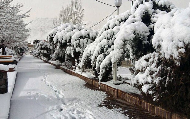 بارش ۹ سانتی متر برف در سپیدان بارش ۹ سانتی متر برف در سپیدان