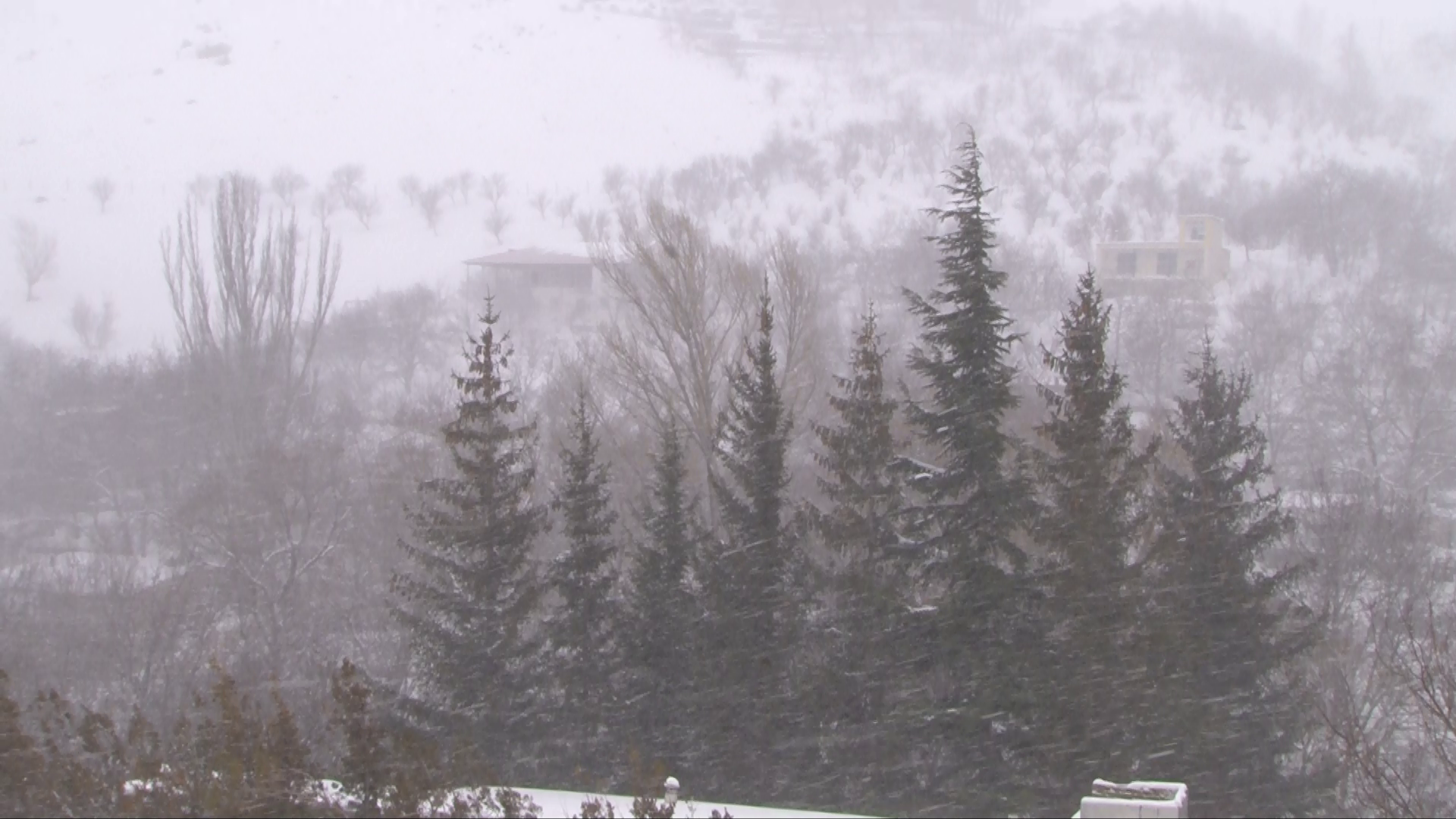 همدان سپیدپوش