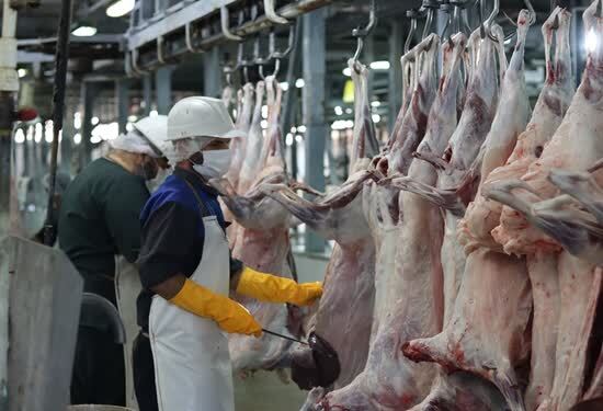 جمع آوری ۱۴ کیلو گرم اجزای حرام دام در خراسان شمالی جمع آوری ۱۴ کیلو گرم اجزای حرام دام در خراسان شمالی