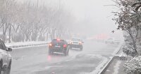 آغاز بارش برف در البرز