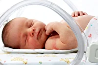 ثبت بیش از ۳۲ هزار تولد در آذربایجان‌غربی/ جهش خدمات الکترونیکی در ثبت احوال استان