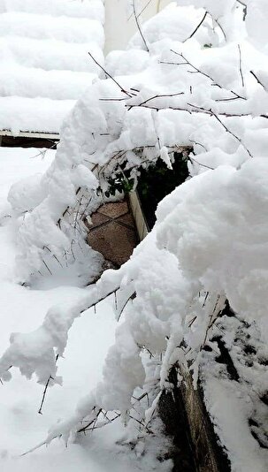 تصاویری از بارش برف در قوچان