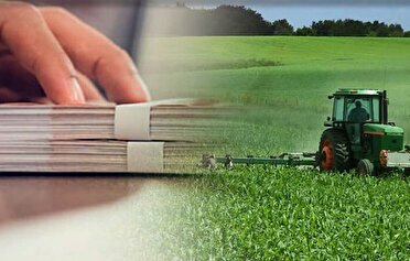 تزریق ۵۹۶ میلیارد تومان تسهیلات به کشاورزی خراسان جنوبی