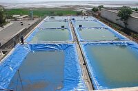 ایجاد مزارع پرورش آرتمیا در سواحل دریاچه ارومیه