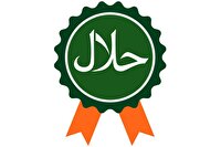صدور ۱۹ پروانه نشان حلال در البرز