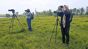 سرشماری پرندگان مهاجر آبزی با استفاده از فناوری های نوین در گیلان