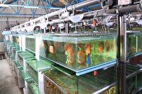 ایجاد ۲۵۰ فرصت شغلی در اردبیل