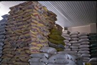 توزیع بیش از پنج هزار تن برنج و روغن در خراسان رضوی