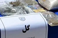 کشف ۴۴کیلوگرم «گُل» توسط پلیس پایتخت