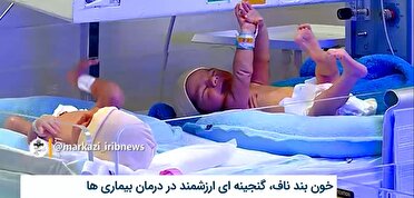 خون بند ناف، گنجینه‌ای ارزشمند در درمان بیماری‌ها