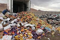 معدوم سازی بیش از هزار کیلوگرم مواد غذایی فاسد و غیر مجاز در اندیمشک