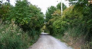 برگزاری تور دیپلماتیک سه کشور خارجی در درگز خراسان‌رضوی