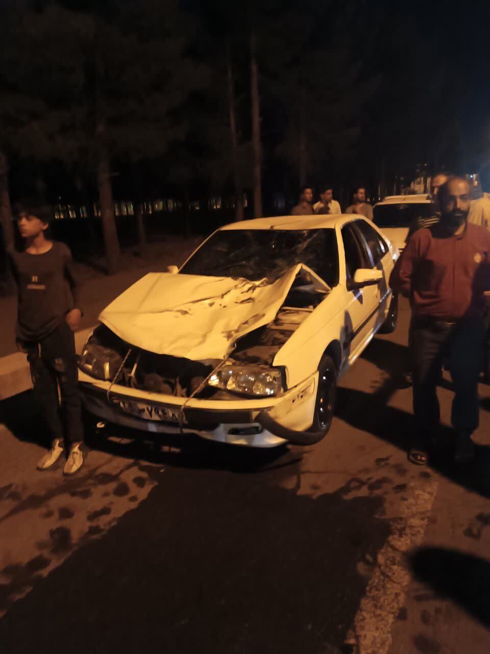 فوت عابر پیاده در بیرجند فوت عابر پیاده در بیرجند