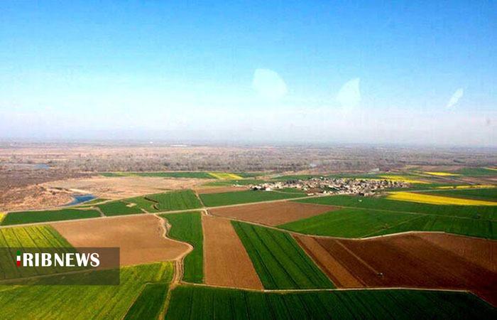 تثبیت سه هزار و ۸۸۰ هکتار از اراضی کشاورزی لرستان تثبیت سه هزار و ۸۸۰ هکتار از اراضی کشاورزی لرستان