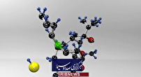 گردهمایی دانشجویان صنعت داروسازی