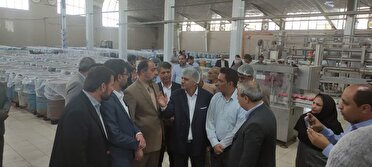 راه‌اندازی خط تولید رب اسپتیک در عنبرآباد