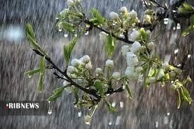خسارت ۲۰ هزار میلیارد ریالی سرما و یخبندان بهاره به باغات