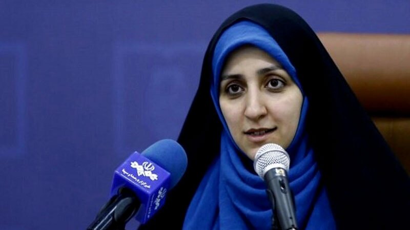 دولت به دنبال شکوفایی مشاغل خانگی است دولت به دنبال شکوفایی مشاغل خانگی است