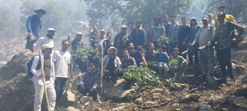 آتش در تنگ بستانک مرودشت آرام گرفت آتش در تنگ بستانک مرودشت آرام گرفت