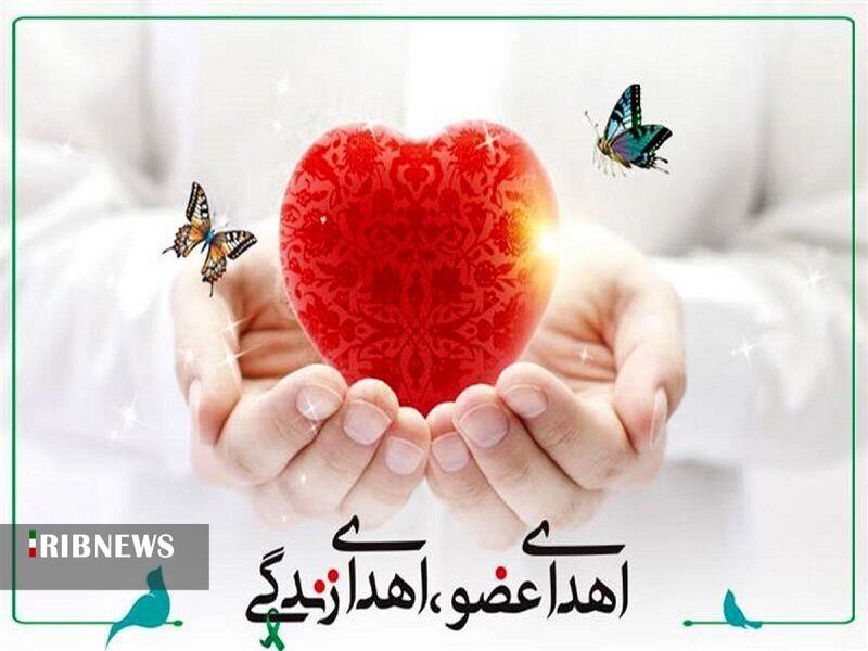 اعضای بدن نیمی از افراد دچار مرگ مغزی استان اردبیل اهدا می‌شود