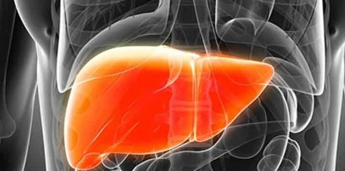 **از کبد چرب تا پیوند کبد