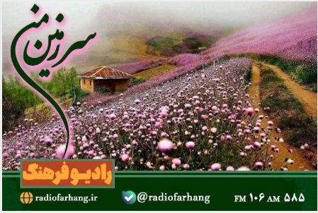 نگاهی به برنامه های امروز رادیو فرهنگ