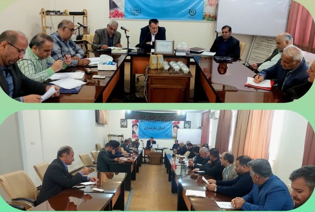 ۳۷ هزار تن تولید دانه‌های روغنی در مازندران؛ ۳۳ هزار تن خریداری می‌شود