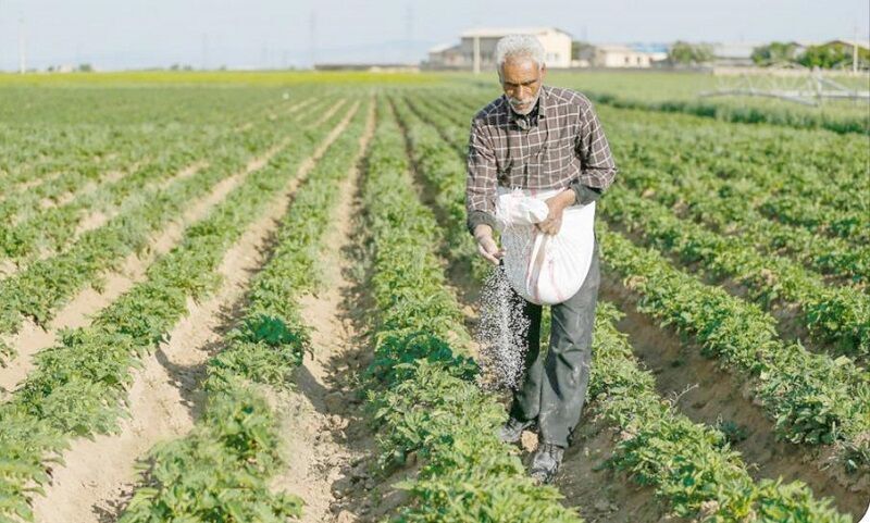 کاهش ۷۷۰ میلیاردی تسهیلات کشاورزی خوزستان؛ درخواست پیگیری نمایندگان مجلس