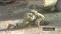 ایران ذوالفقار علی