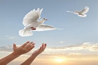 آزادی250  زندانی غیر عمد مالی از زندان‌های آذربایجان غربی