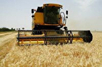 برداشت جو از مزارع آذربایجان غربی آغاز شد