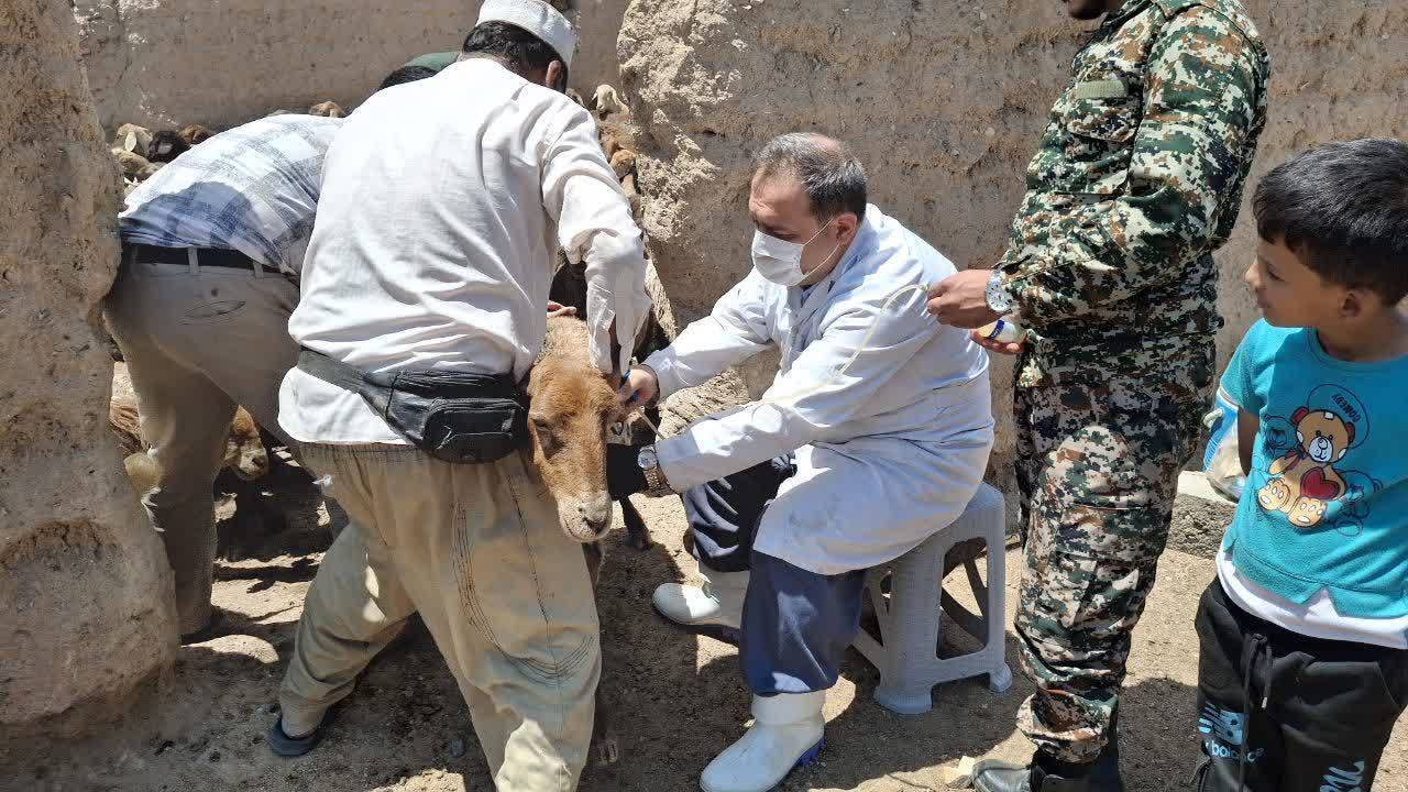 برگزاری  اردوی جهادی بسیج برای پیشگیری از بیماری‌های دامی در  روستای رباط سمنگان بخش نصرآباد